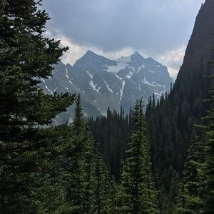 Meet your Posher, Cheri